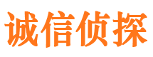 东湖侦探公司